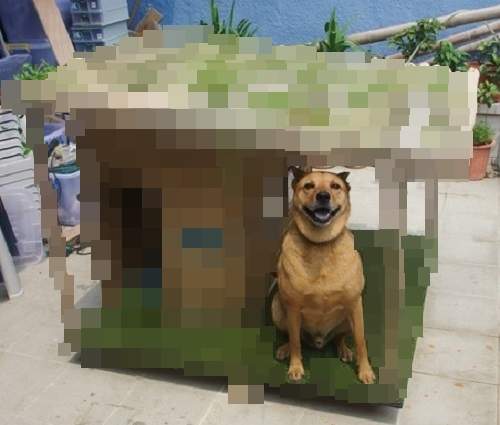 手作感十足的《度假風狗屋》這是狗屋是狗屋是狗屋(驚) 手作感十足的《度假風狗屋》這是狗屋是狗屋是狗屋(驚)