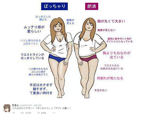 《肉肉女與胖胖女的差別》關鍵到底是長相還是乳量？（喂） - 圖片2