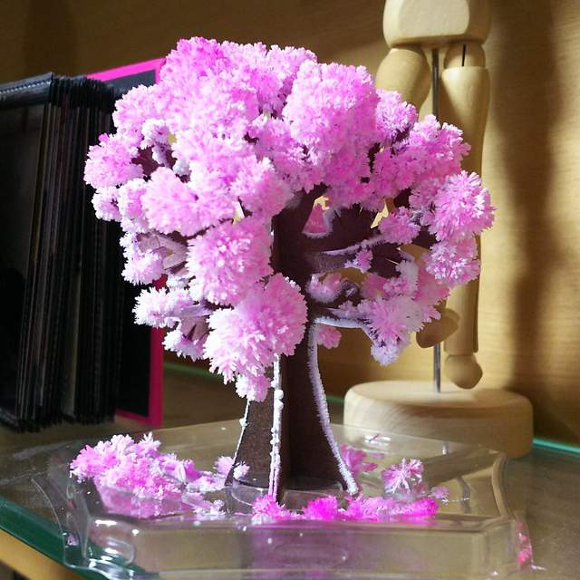 有點懷舊的《紙櫻花樹》好想再買來玩呦 (灬ºωº灬) 有點懷舊的《紙櫻花樹》好想再買來玩呦 (灬ºωº灬)