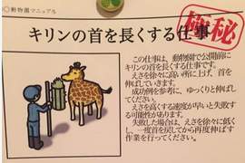 《動物園飼育員的秘密任務》原來熊貓是這樣染色的? 《動物園飼育員的秘密任務》原來熊貓是這樣染色的?