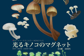 《夜光香菇磁鐵》相當有「長香菇」的感覺 《夜光香菇磁鐵》相當有「長香菇」的感覺
