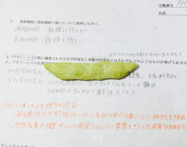 《吃貨念書法》答對了就可以把零食吃掉唷~( *¯ ³¯*)♡吃吃 《吃貨念書法》答對了就可以把零食吃掉唷~( *¯ ³¯*)♡吃吃
