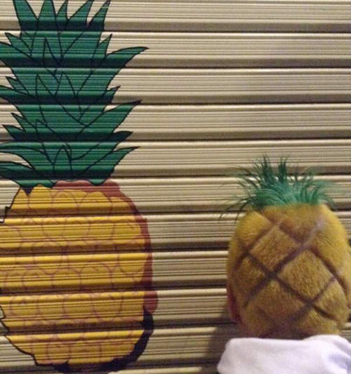 《頂著鳳梨頭參加體育祭》早知道我也弄個怪髮型就可以被女同學包圍了……