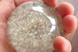 簡易教學《蒲公英水晶球》超夢幻物品成本其實超級低? 簡易教學《蒲公英水晶球》超夢幻物品成本其實超級低?