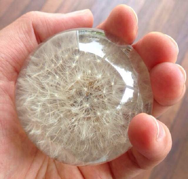 簡易教學《蒲公英水晶球》超夢幻物品成本其實超級低? 簡易教學《蒲公英水晶球》超夢幻物品成本其實超級低?