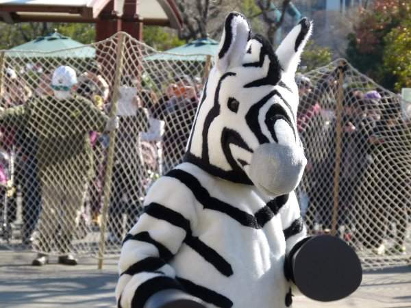 東京上野動物園《斑馬脫逃演習》動物的演技一年比一年還進步? 東京上野動物園《斑馬脫逃演習》動物的演技一年比一年還進步?