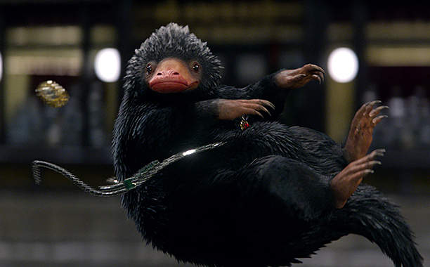 《怪獸與牠們的產地》現實版玻璃獸到底是哪種動物呢? 《怪獸與牠們的產地》現實版玻璃獸到底是哪種動物呢?