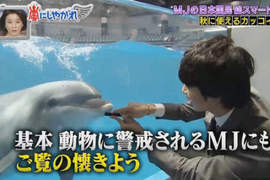 遊水族館必學《梳子吸引海豚的祕訣》原來這就是海豚語? 遊水族館必學《梳子吸引海豚的祕訣》原來這就是海豚語?