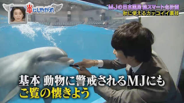 遊水族館必學《梳子吸引海豚的祕訣》原來這就是海豚語? 遊水族館必學《梳子吸引海豚的祕訣》原來這就是海豚語?