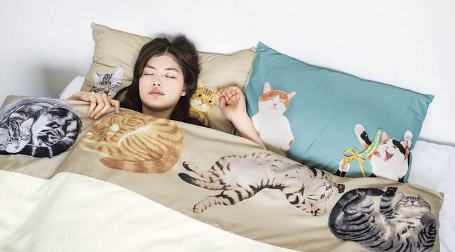 《貓咪被單&枕頭套》享受被貓咪包圍睡覺的感覺囉♥ 《貓咪被單&枕頭套》享受被貓咪包圍睡覺的感覺囉♥