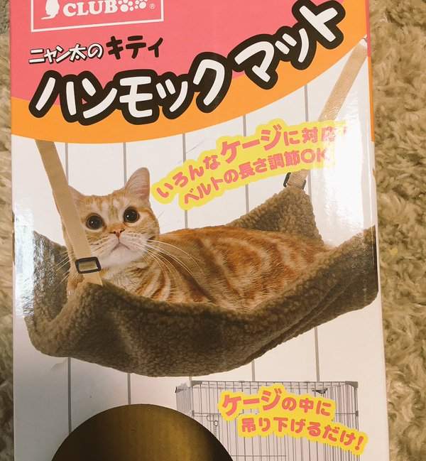 《貓吊床》的理想與現實 感覺貓咪還滿喜歡的啊=w= 《貓吊床》的理想與現實 感覺貓咪還滿喜歡的啊=w=