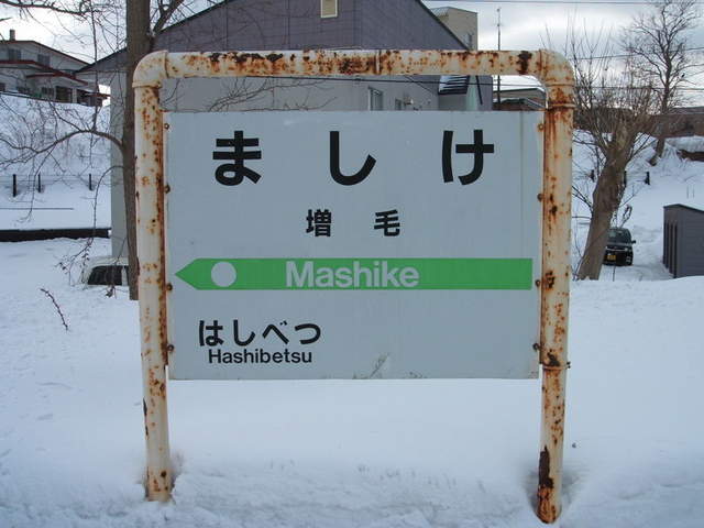 禿頭聖地《增毛車站》廢站 求長頭髮的人以後又該去哪朝聖呢? 禿頭聖地《增毛車站》廢站 求長頭髮的人以後又該去哪朝聖呢?