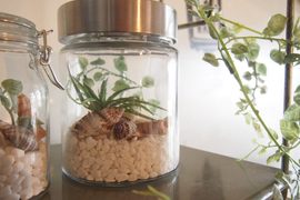《DIY瓶罐盆栽》輕鬆自己動手做讓你感覺笑意的小確幸擺飾 《DIY瓶罐盆栽》輕鬆自己動手做讓你感覺笑意的小確幸擺飾