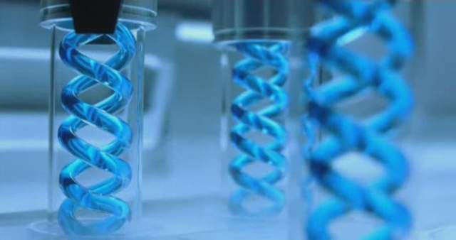 惡靈古堡《T病毒香水》噴了就會變殭屍嗎ww 惡靈古堡《T病毒香水》噴了就會變殭屍嗎ww