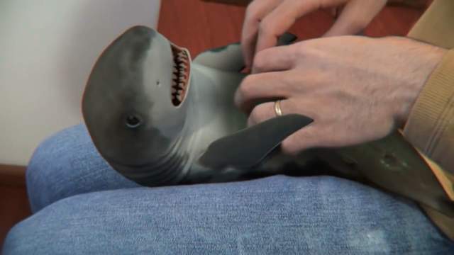 新萌寵《會撒嬌的小鯊魚》鯊魚也能一起散步(?) 新萌寵《會撒嬌的小鯊魚》鯊魚也能一起散步(?)