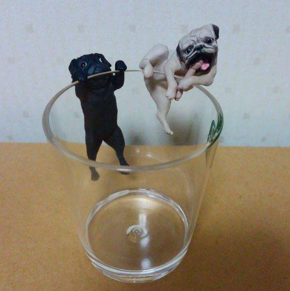 《脫力巴哥杯緣子轉蛋》動物中的醜萌代表累累爬上你的杯子