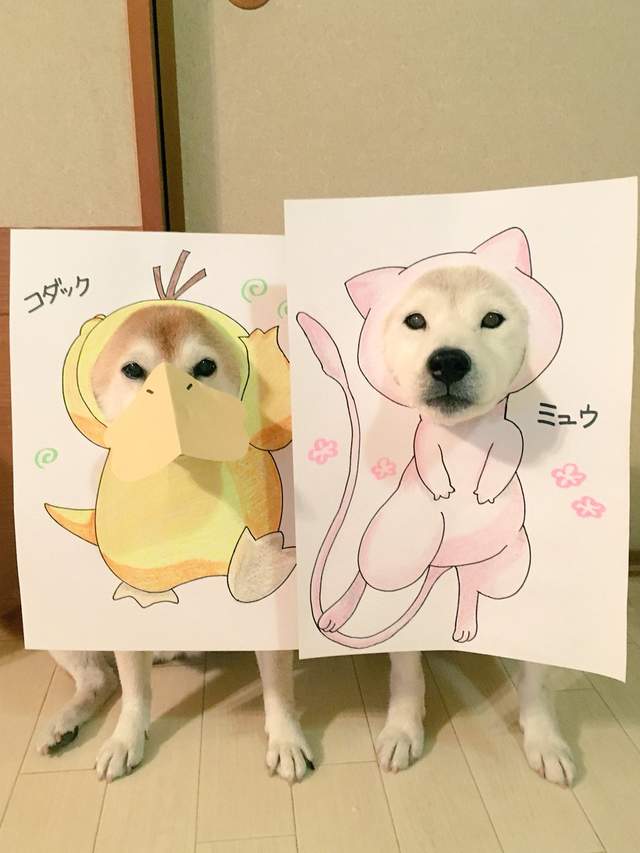 《柴犬的Cosplay》精靈寶可夢也難不倒他們啊~ 《柴犬的Cosplay》精靈寶可夢也難不倒他們啊~