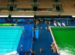 里約大冒險懶人包《里約奧運狂出包》跳水池一夜之間變綠色沼澤…