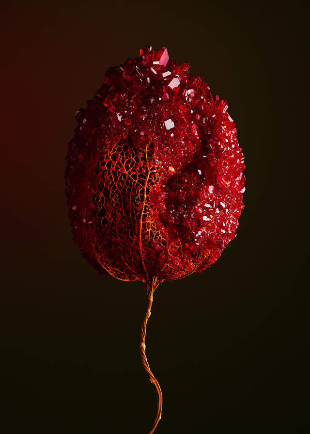 《結晶花卉》礦物與植物的浪漫跨界結合雕塑 《結晶花卉》礦物與植物的浪漫跨界結合雕塑