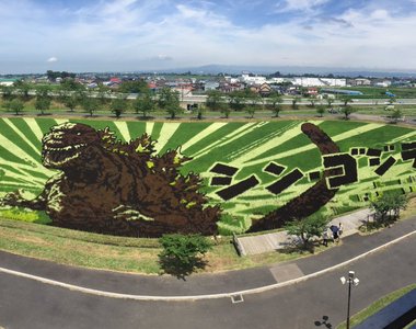 年年精彩《稻田彩繪》田舍館村 2016年的田園畫依舊精采 年年精彩《稻田彩繪》田舍館村 2016年的田園畫依舊精采