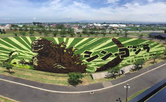 年年精彩《稻田彩繪》田舍館村 2016年的田園畫依舊精采 年年精彩《稻田彩繪》田舍館村 2016年的田園畫依舊精采