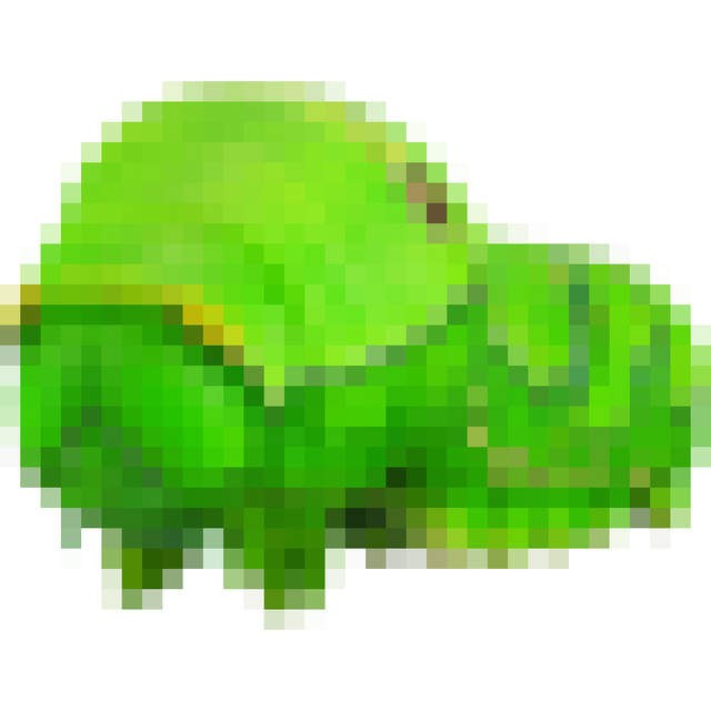 海洋堂《柑橘鳳蝶幼蟲模型》怕蟲的千萬別點進來～