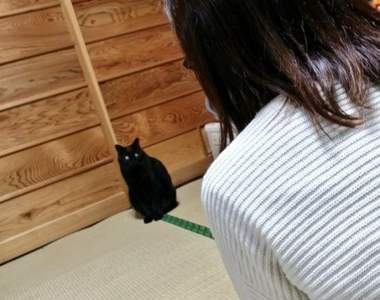 《過年小辛酸》太久沒回去就被老家的狗狗貓貓給遺忘了... 《過年小辛酸》太久沒回去就被老家的狗狗貓貓給遺忘了...