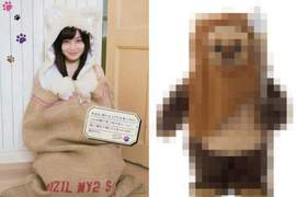 超萌❤跪求認養《橋本環奈流浪貓》粉絲表示咦怎麼有點像這個… 超萌❤跪求認養《橋本環奈流浪貓》粉絲表示咦怎麼有點像這個…