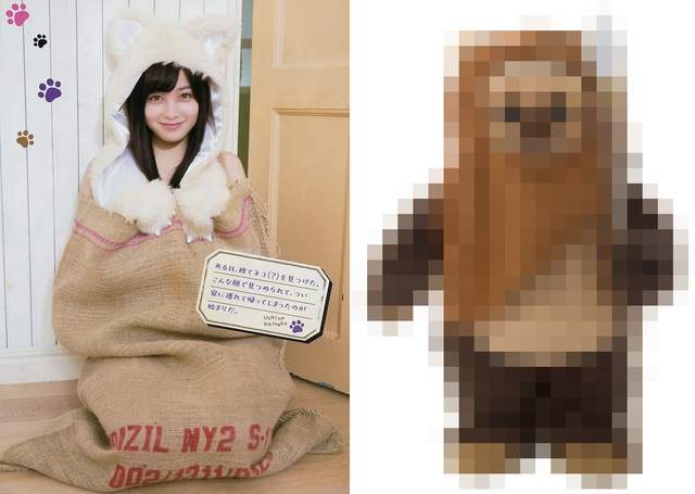 超萌❤跪求認養《橋本環奈流浪貓》粉絲表示咦怎麼有點像這個…