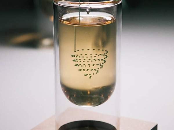 《飲料3D列印》以後飲料不點冰淇淋漂浮 改喝幾何漂浮吧