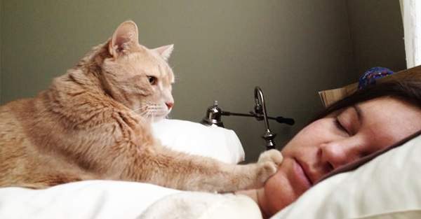 《貓咪鬧鐘》趴兔  明天早上你想要哪種PLAY?(誤) 《貓咪鬧鐘》趴兔  明天早上你想要哪種PLAY?(誤)