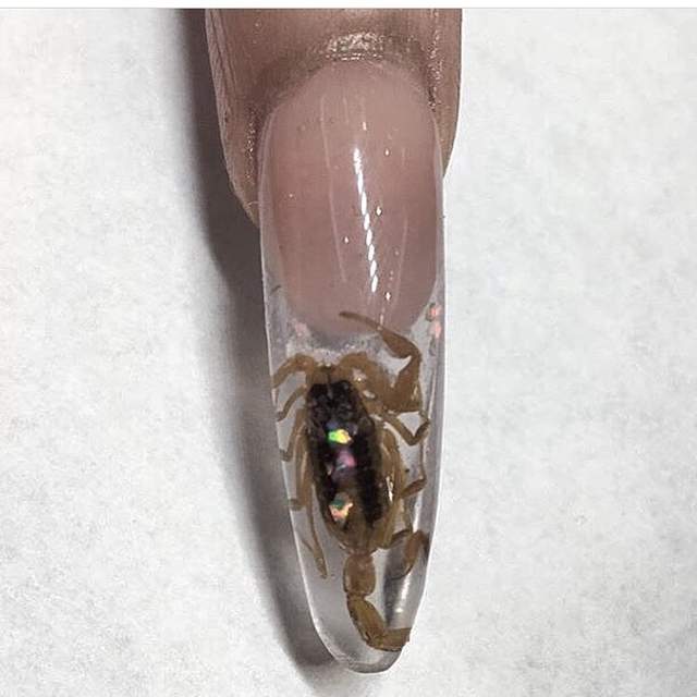 新潮流?《蠍子標本風格美甲》這應該要非常喜歡昆蟲才有辦法... 新潮流?《蠍子標本風格美甲》這應該要非常喜歡昆蟲才有辦法...