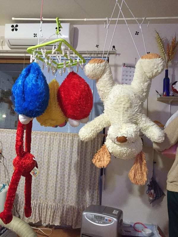 推特《洗布偶悲劇》你們是被吊起來嚴刑拷打嗎ww