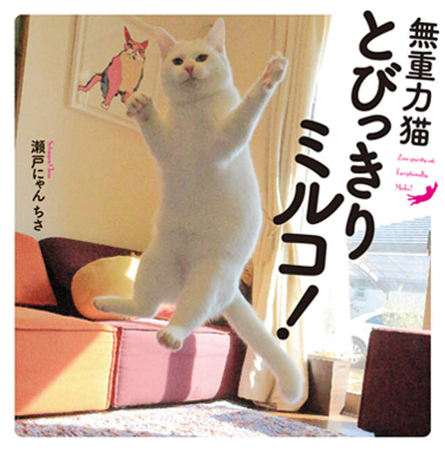 旋轉跳躍《無視重力大白貓》漂浮喵星人出寫真集啦～