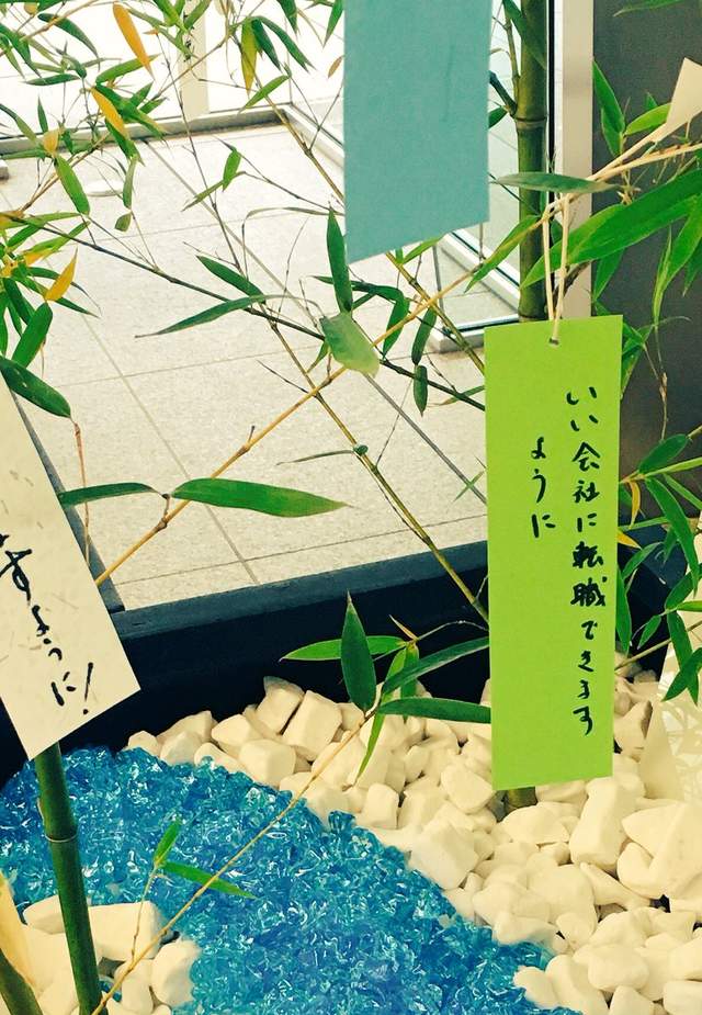 腹筋崩坏注意《七夕许愿短册》希望旁边的人可以从处男毕业www(欸) - 图片22 腹筋崩坏注意《七夕许愿短册》希望旁边的人可以从处男毕业www(欸)