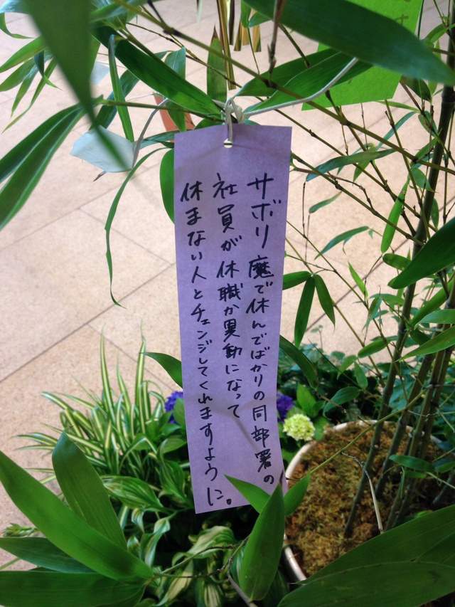 腹筋崩坏注意《七夕许愿短册》希望旁边的人可以从处男毕业www(欸) - 图片24 腹筋崩坏注意《七夕许愿短册》希望旁边的人可以从处男毕业www(欸)