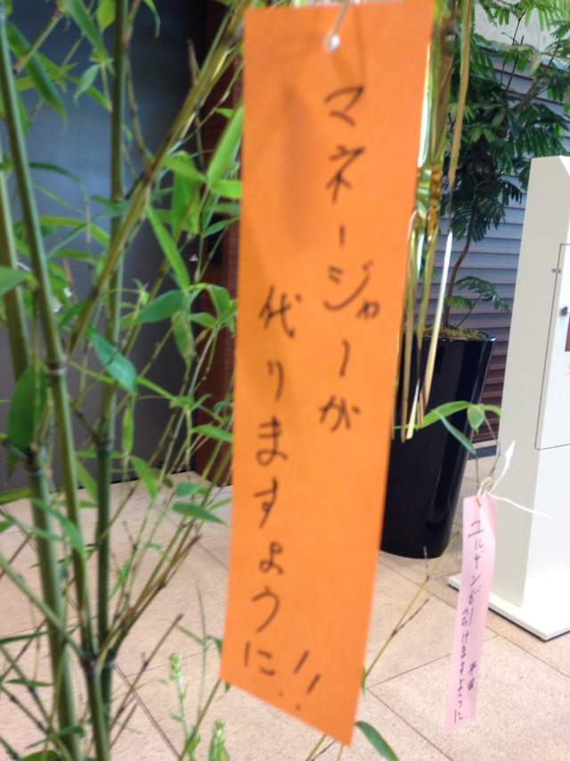 腹筋崩坏注意《七夕许愿短册》希望旁边的人可以从处男毕业www(欸) - 图片23 腹筋崩坏注意《七夕许愿短册》希望旁边的人可以从处男毕业www(欸)