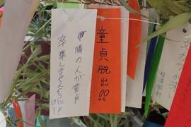 腹筋崩壞注意《七夕許願短冊》希望旁邊的人可以從處男畢業www(欸) 腹筋崩壞注意《七夕許願短冊》希望旁邊的人可以從處男畢業www(欸)