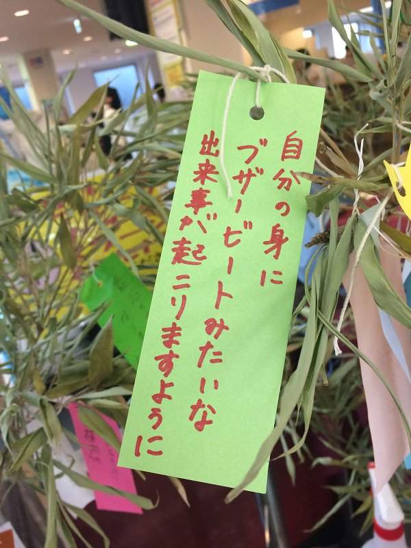 腹筋崩坏注意《七夕许愿短册》希望旁边的人可以从处男毕业www(欸) - 图片12 腹筋崩坏注意《七夕许愿短册》希望旁边的人可以从处男毕业www(欸)