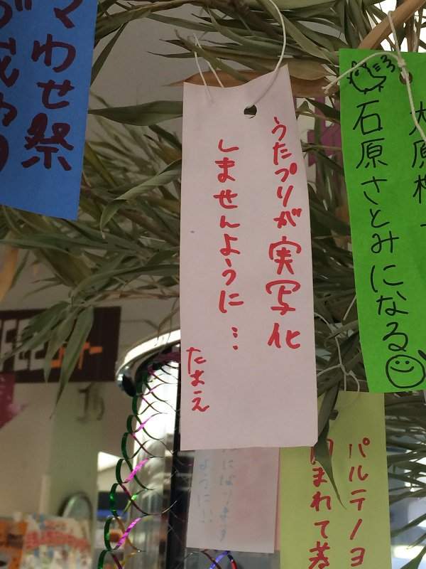 腹筋崩坏注意《七夕许愿短册》希望旁边的人可以从处男毕业www(欸) - 图片13 腹筋崩坏注意《七夕许愿短册》希望旁边的人可以从处男毕业www(欸)