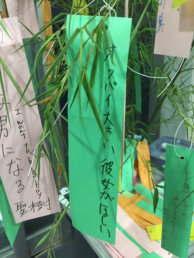 腹筋崩坏注意《七夕许愿短册》希望旁边的人可以从处男毕业www(欸) - 图片15 腹筋崩坏注意《七夕许愿短册》希望旁边的人可以从处男毕业www(欸)