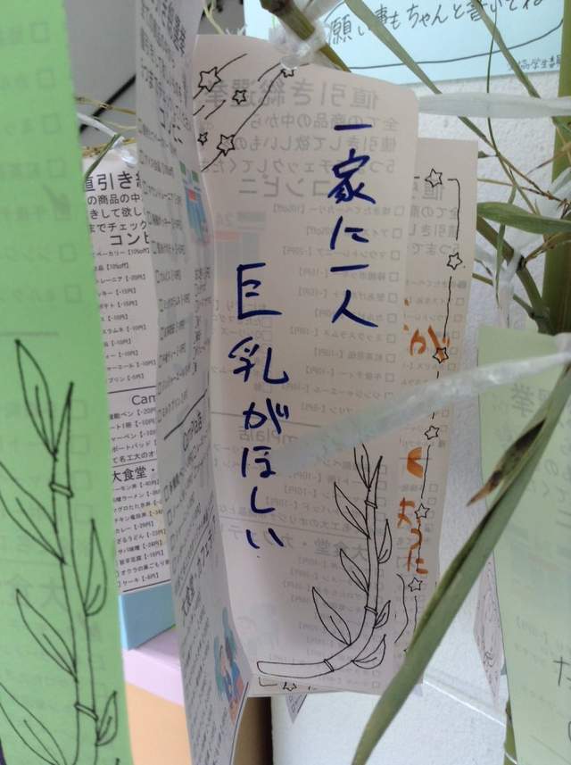 腹筋崩坏注意《七夕许愿短册》希望旁边的人可以从处男毕业www(欸) - 图片16 腹筋崩坏注意《七夕许愿短册》希望旁边的人可以从处男毕业www(欸)
