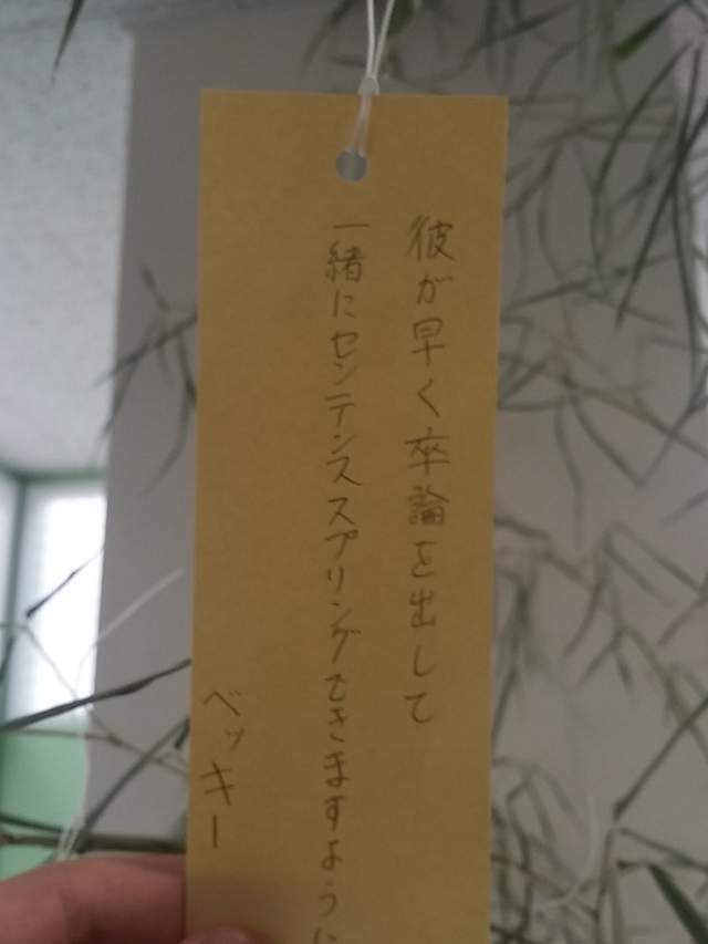 腹筋崩坏注意《七夕许愿短册》希望旁边的人可以从处男毕业www(欸) - 图片19 腹筋崩坏注意《七夕许愿短册》希望旁边的人可以从处男毕业www(欸)
