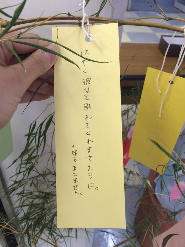 腹筋崩坏注意《七夕许愿短册》希望旁边的人可以从处男毕业www(欸) - 图片5 腹筋崩坏注意《七夕许愿短册》希望旁边的人可以从处男毕业www(欸)