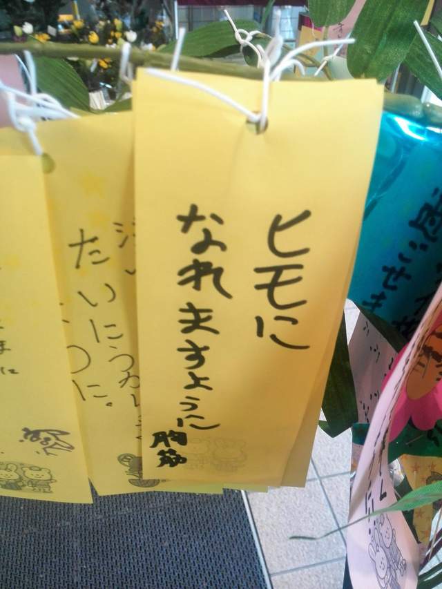 腹筋崩坏注意《七夕许愿短册》希望旁边的人可以从处男毕业www(欸) - 图片8 腹筋崩坏注意《七夕许愿短册》希望旁边的人可以从处男毕业www(欸)