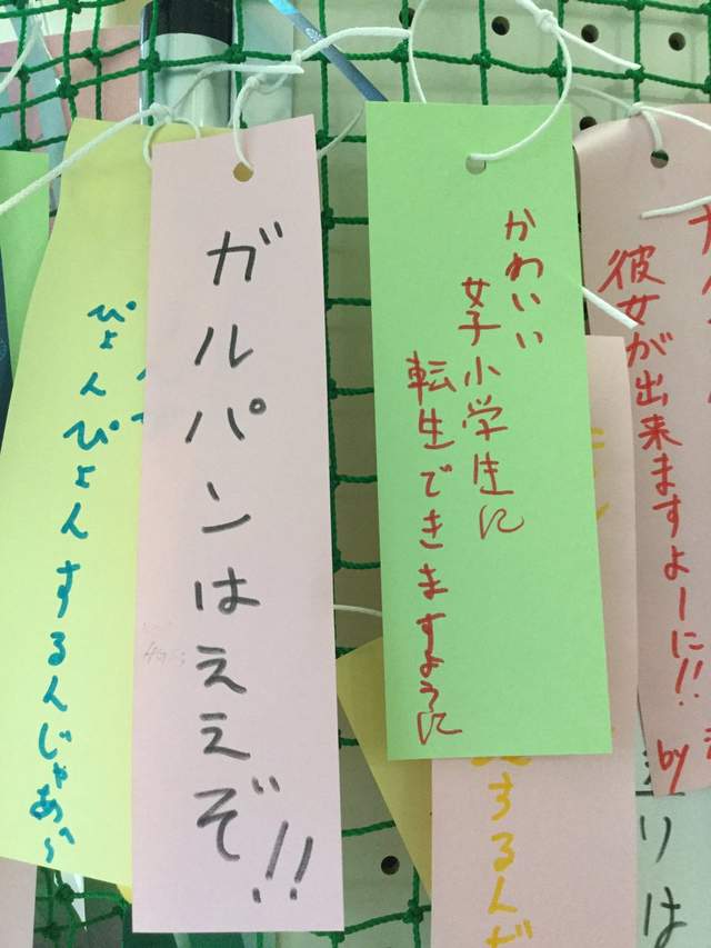 腹筋崩坏注意《七夕许愿短册》希望旁边的人可以从处男毕业www(欸) - 图片9 腹筋崩坏注意《七夕许愿短册》希望旁边的人可以从处男毕业www(欸)