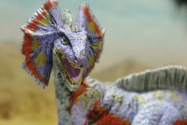 《魔物獵人最煩人的小怪》不要又在我剝皮的時候來亂啦w 《魔物獵人最煩人的小怪》不要又在我剝皮的時候來亂啦w