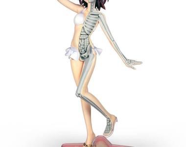 藝術家Jason Freeny的《解剖模型》每個作品都超有趣 藝術家Jason Freeny的《解剖模型》每個作品都超有趣
