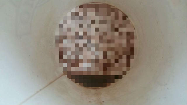 《杯底的驚喜》這年頭連喝飲料都有彩蛋了（笑）