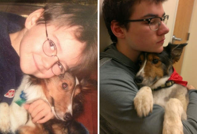 《寵物的第一張＆最後一張照片》是洋蔥、加了滿滿的洋蔥...